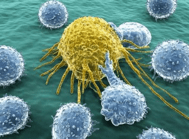 Cancer Stem Cells