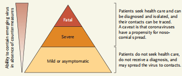 Surveillance Pyramid and Its Relation to Outbreak Containment