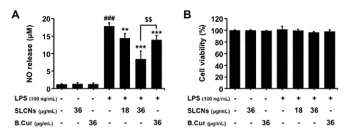 Effect of SLCN and base curcumin on NO production and cell viability in lipopolysaccharide LPS-stimulated BV2 cells