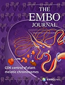The EMBO Journal VOL39