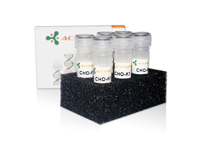 AcceGen product cho-k1 cell line