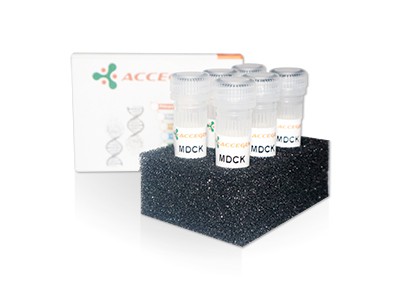 AcceGen product mdck cell line