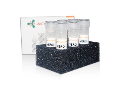 AcceGen product vero cell line