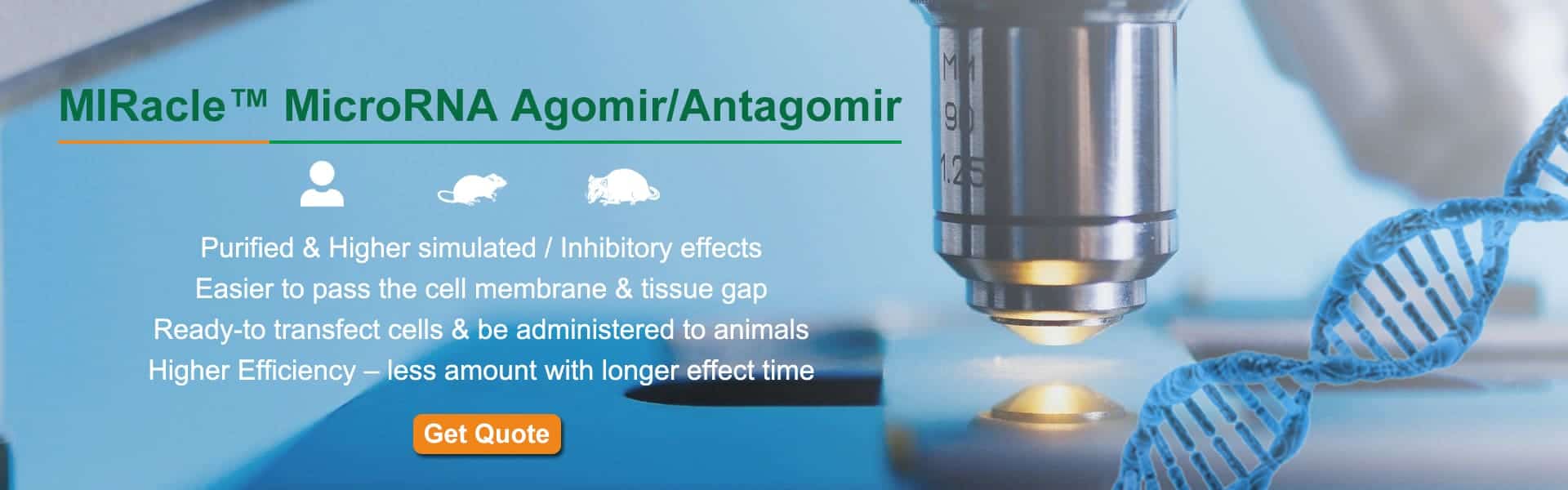 AcceGen - MicroRNA Agomir/Antagomir