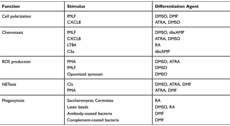 Functions Which Differentiated HL-60 Cells are Capable of Executing