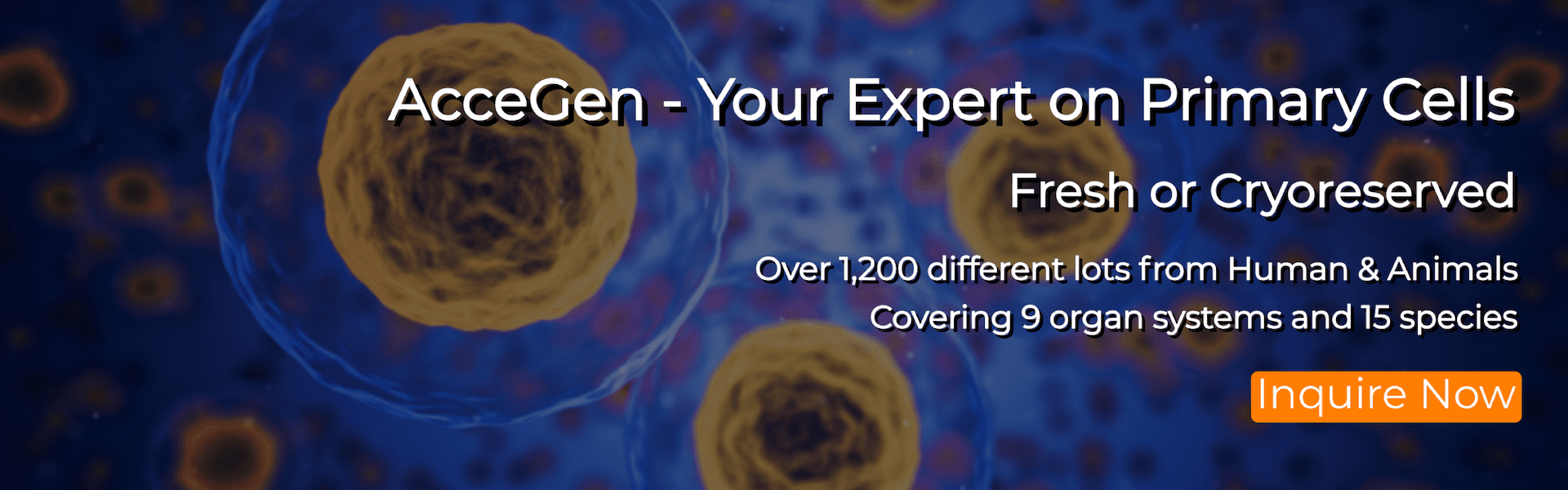 AcceGen - Your Expert on Primary Cells